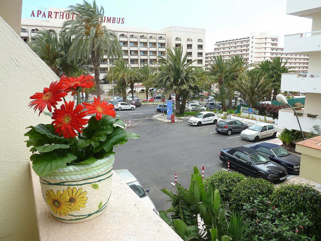 Holiday Apartment Los Tajinastes Playa de las Americas (Tenerife) Room photo